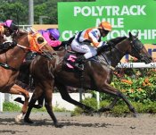 Apache Crown winning in March 2011.<br>Photo by Singapore Turf Club